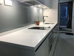 V On Shenton (D1), Apartment #458299541